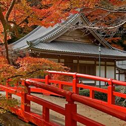 Пазл: Прекрасный храм осенью 