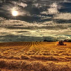 Пазл: Северная Ирландия