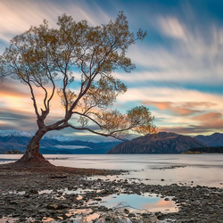 Пазл: Озеро Ванака