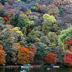 Пазл: Осень в парке