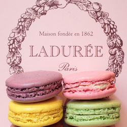 Пазл: Шесть пирожных от Ladure