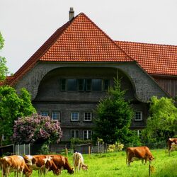 Пазл: Домик в деревне