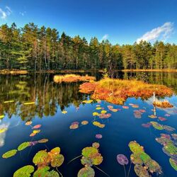 Пазл: Осенний пейзаж