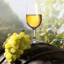 Пазл: Белое вино