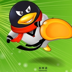 Пазл: Тхэквондо