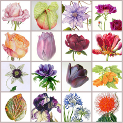 Пазл: Пестрое ассорти