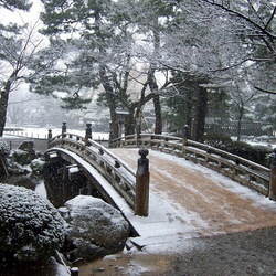 Пазл: Зима в парке