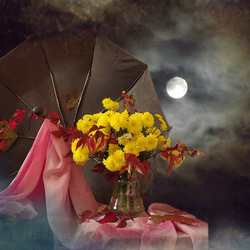 Пазл: Осеннее полнолуние