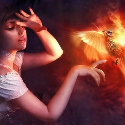 Пазл: Пылающий феникс