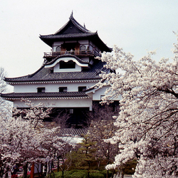 Пазл: Старинный замок