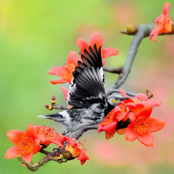 Пазл: В полет