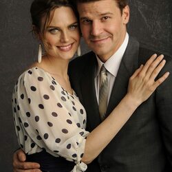 Пазл: Кости