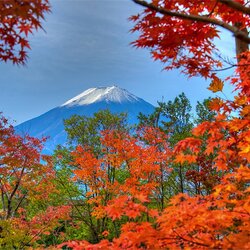 Пазл: Япония