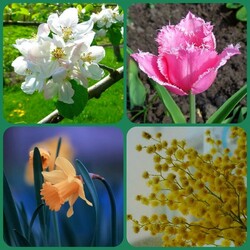 Пазл: Весной в саду