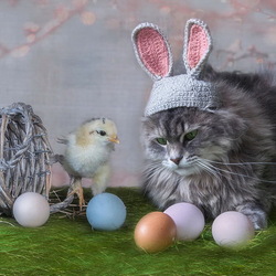 Пазл: Пасхальный котик