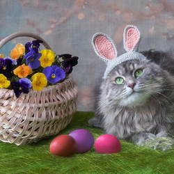 Пазл: Пасхальный котик