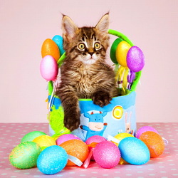 Пазл: Пасхальный котик