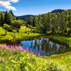 Пазл: Горное озеро