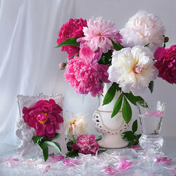 Пазл: Пионов нежная прохлада