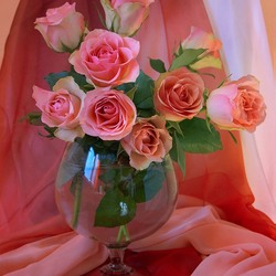 Пазл: Розовые розы