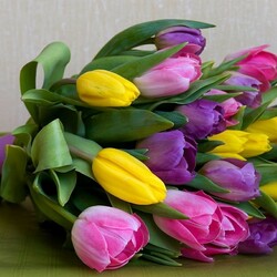Пазл: Букет тюльпанов