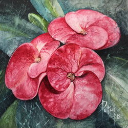 Пазл: Молочай 