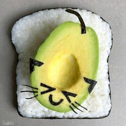 Пазл: Суши кот