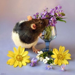 Пазл: Любитель прекрасного