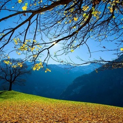 Пазл: Осень