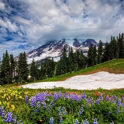 Пазл: Летний снег