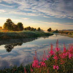 Пазл: Утро на берегу реки