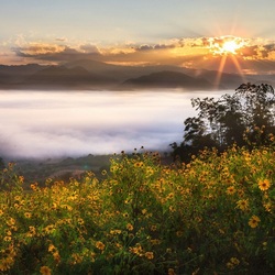 Пазл: Туман над рекой