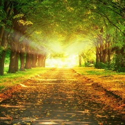 Пазл: Осенний день