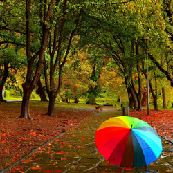 Пазл: Одинокий зонт