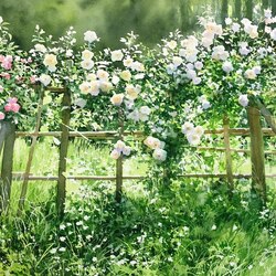 Пазл: Сезон роз