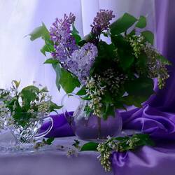 Пазл: Звучал весенний вальс Шопена