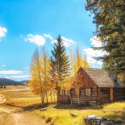 Пазл: Дорога в осень