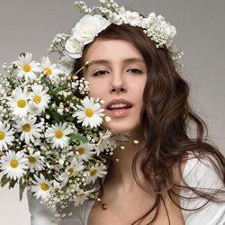 Пазл: Белые ромашки