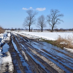 Пазл: Весенняя распутица