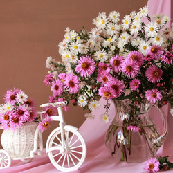 Пазл: Астры