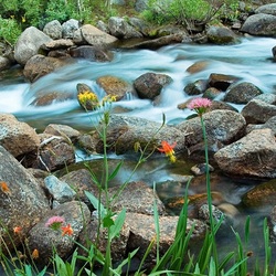 Пазл: Речка