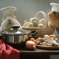 Пазл: Щекастые повара