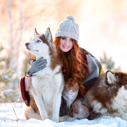 Пазл: Охрана