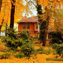 Пазл: Осенний сад