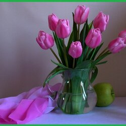 Пазл: Тюльпаны