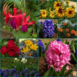 Пазл: Прогулка по саду