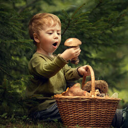 Пазл: Находка