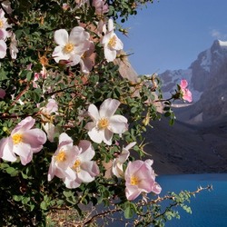 Пазл: Весна пришла