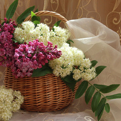 Пазл: Букет из  сирени и рябины