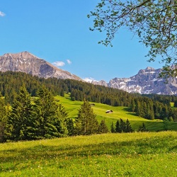 Пазл: Живописность природы